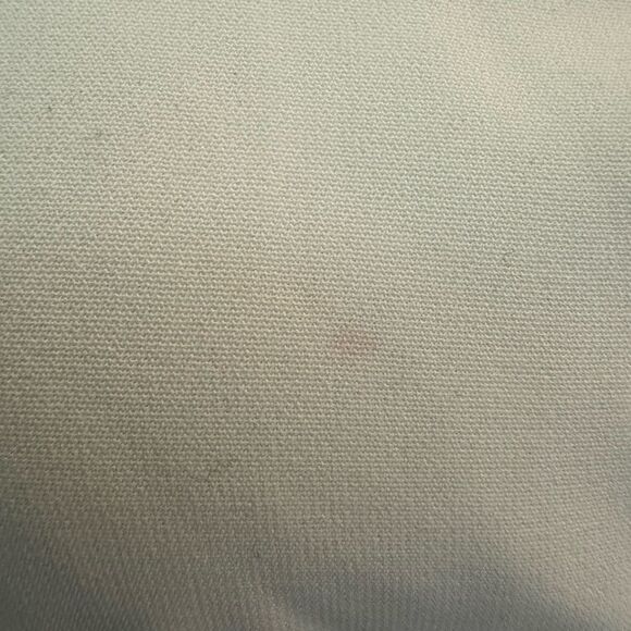 Preston and York Polyester Slightly Sheer Button Down Shirt, 24W - Picture 3 of 9